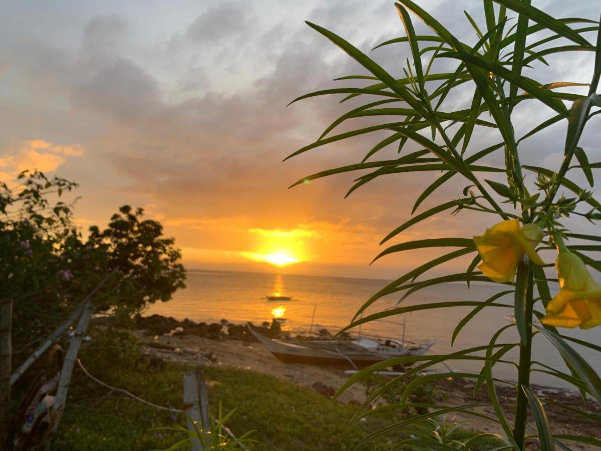 Gigante Island Homestay - Balay Sa Gigante Carles エクステリア 写真